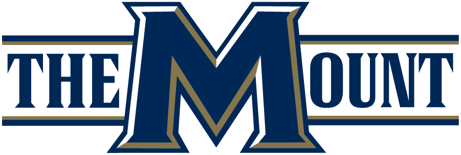 Mount St. Marys Mountaineers 2016-Pres Wordmark Logo iron on transfers for clothing